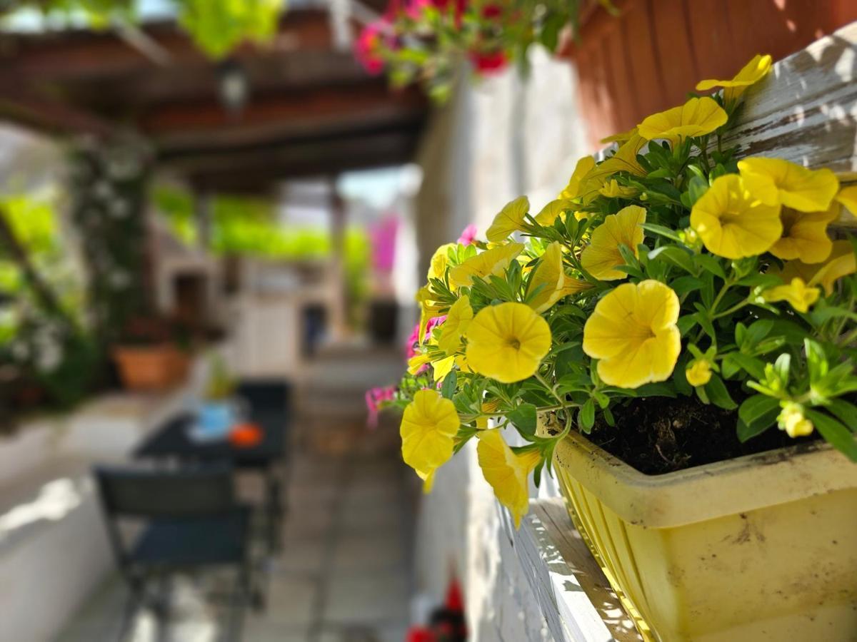 Il Trullo Felice Villa Locorotondo Eksteriør billede